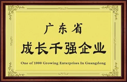 广东省成长千强企业